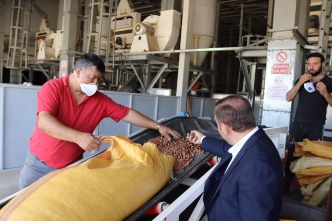 Ak Parti Giresun Milletvekili Sabri Öztürk: “Üretici, Tmo Alımlarından Memnun”