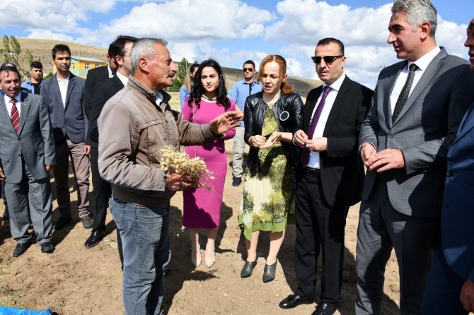 Kadın Yetişti, Herşey Yetişti