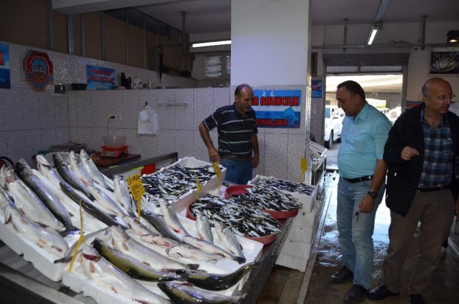 Yıllar Sonra İlk Kez Erken Çıkan Yerli Hamsi Balıkçıları Endişelendirdi