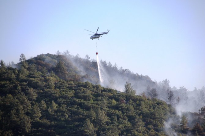 Bodrum’daki Orman Yangını Güçlükle Kontrol Altına Aldı