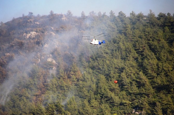 Bodrum’daki Orman Yangını Güçlükle Kontrol Altına Aldı