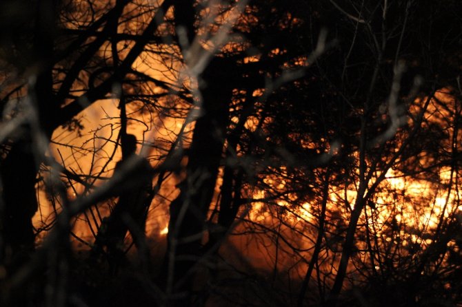 Hatay’da 25 Farklı Noktada Orman Yangını