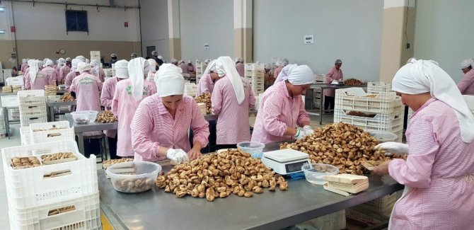 Nazilli Ticaret Borsası’ndan Cumhurbaşkanı Erdoğan’a Teşekkür