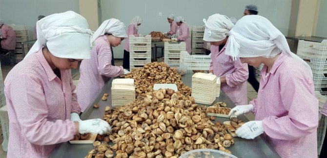 Nazilli Ticaret Borsası’ndan Cumhurbaşkanı Erdoğan’a Teşekkür