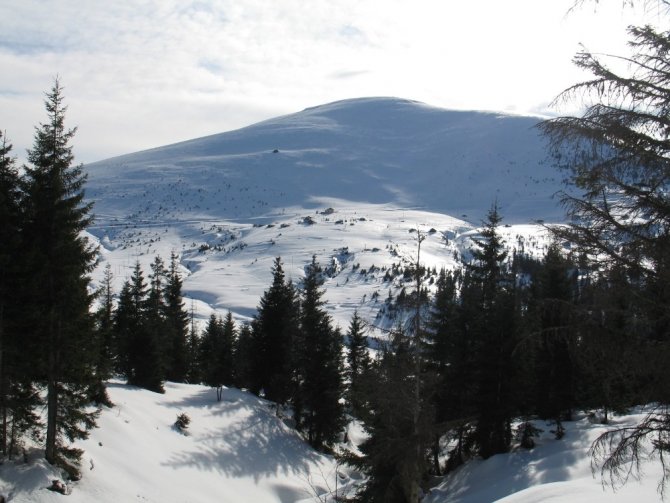 Sis Dağı Kayak Merkezi İçin Harekete Geçildi