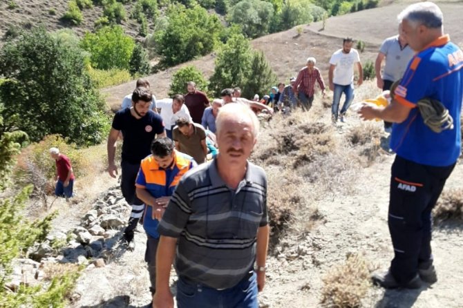 Cevizden Düşen Kadını Bir Kilometre Sedyede Taşıyarak Ambulansa Ulaştırdılar