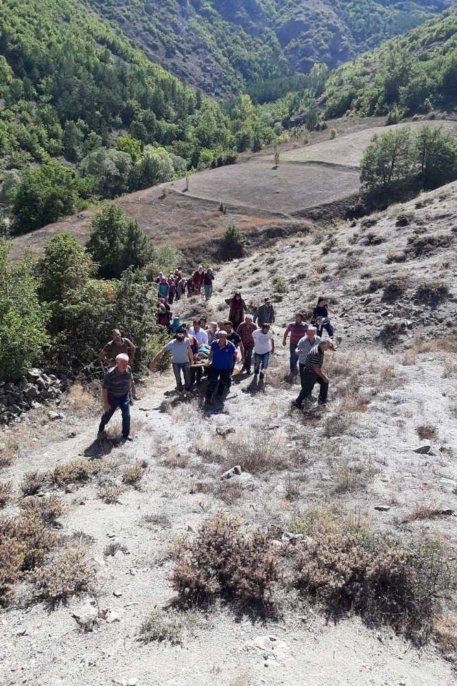 Cevizden Düşen Kadını Bir Kilometre Sedyede Taşıyarak Ambulansa Ulaştırdılar