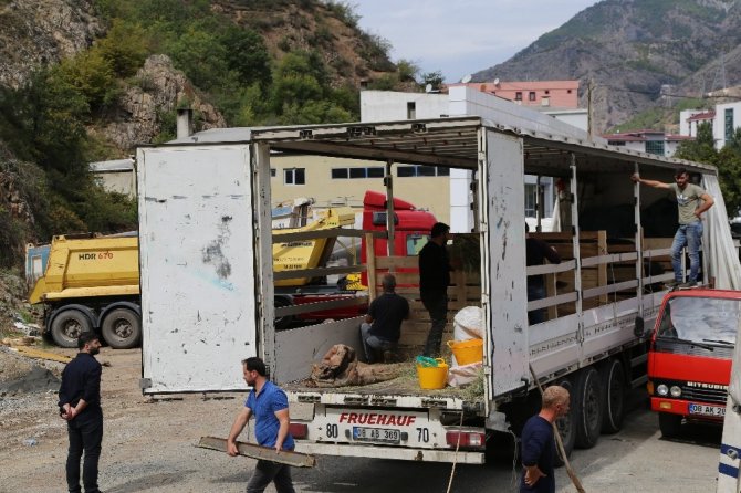 Artvin’in Şampiyon Boğaları Aydın’a Doğru Yola Çıktı