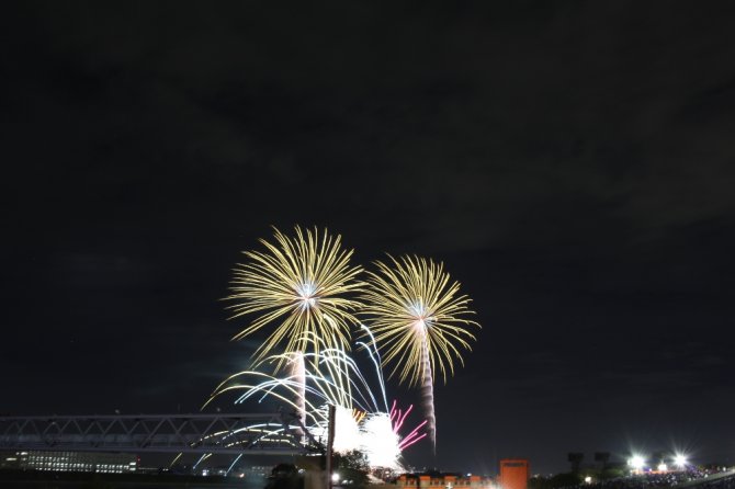 Tokyo’da Havai Fişek Festivalinden Renkli Görüntüler