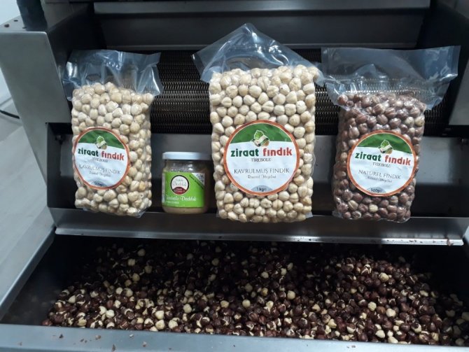 Üretici Yetiştirdiği Fındığı Kendi İşleyip, Pazara Sunacak