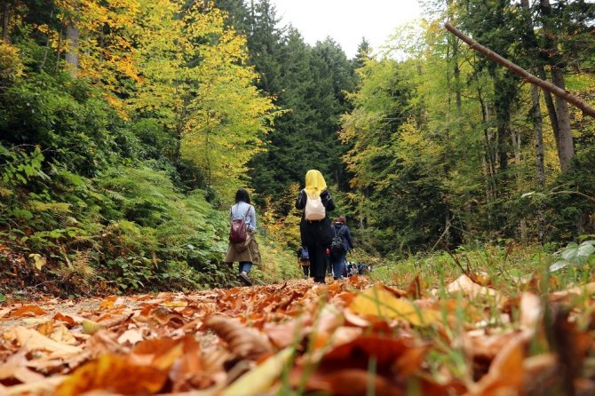 Gümüş Şehir ‘Altın’ Rengine Büründü, Dağcılar Fırsatı Kaçırmadı