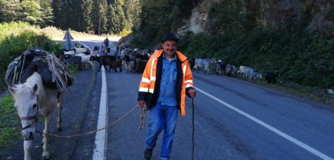 Trabzon’da Yaylacılar Köylerine Dönmeye Başladı