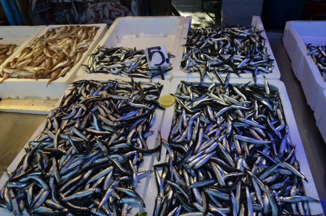 Hamside Son Yılların En Bereketli Dönemi Yaşanıyor