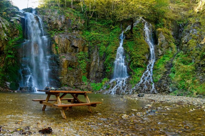 Doğal Ağaç Müzesinde Büyüleyici Sonbahar Manzaraları