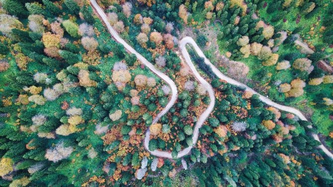 Doğal Ağaç Müzesinde Büyüleyici Sonbahar Manzaraları