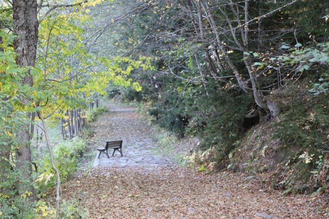Fotoğraf Tutkunları Sonbaharda Sakin Şehir Şavşat’a Akın Ediyor