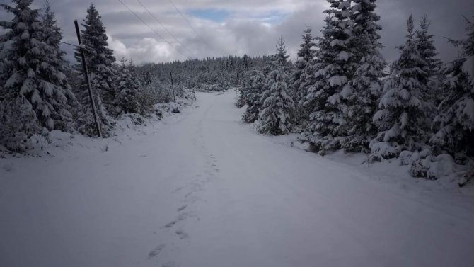 Kar Altında Koyunların Dönüşü Başladı