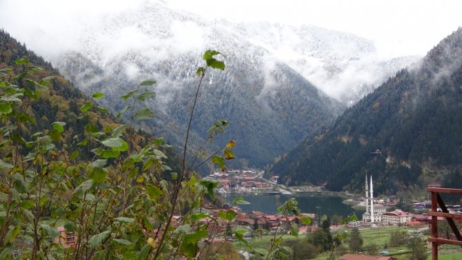 Uzungöl Rengarenk