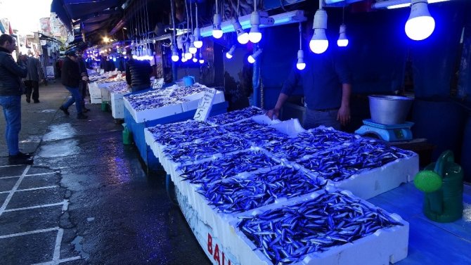 Hamsi Tezgahları Süslüyor