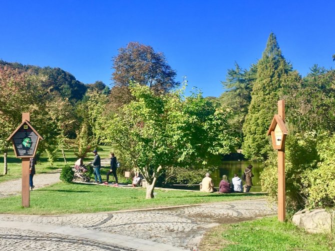 Atatürk Arboretumu’nda Sonbahar Manzaraları Havadan Görüntülendi