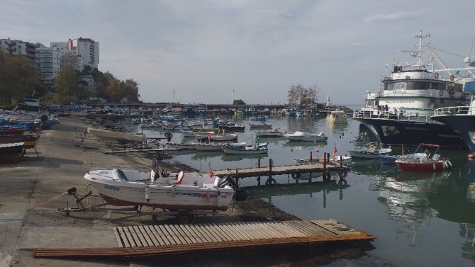 Karadeniz’de Hamsi Bolluğu Yaşanıyor