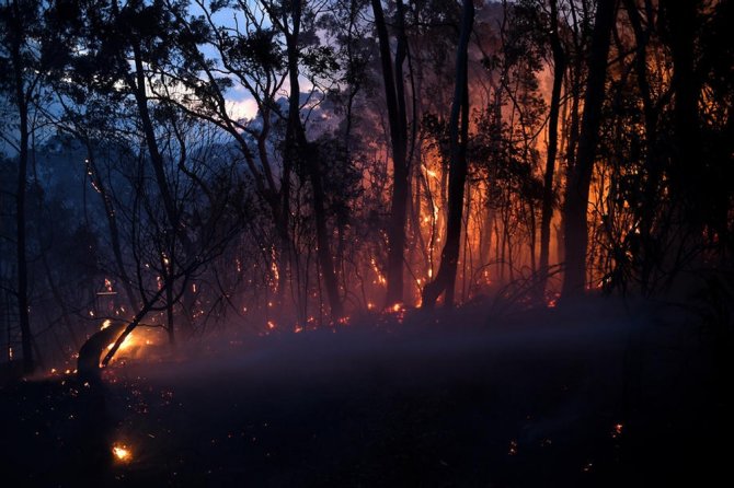 Avustralya’da Korkutan Orman Yangınları
