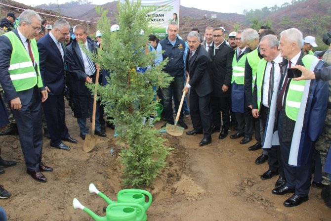 İzmir’de Pkk’nın Yaktığı Alan Ağaçlandırılıyor