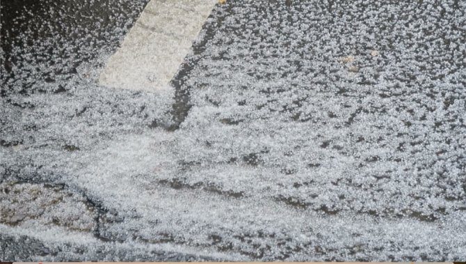 Paris’te Dolu Yağdı, Sokaklar Beyaza Büründü