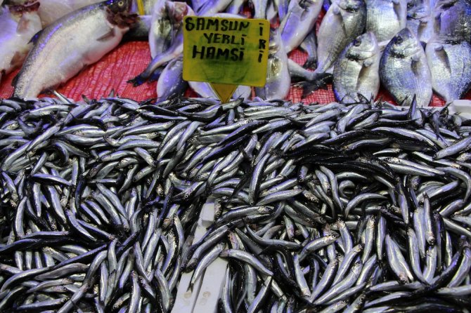 Balık Fiyatları Havaya Endeksli