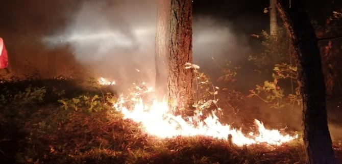 Çanakkale’de Korkutan Yangın