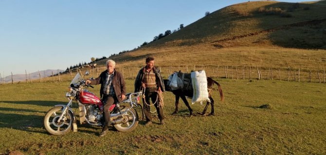 Karadeniz Yaylalarında Yaz Havası Yaşanıyor