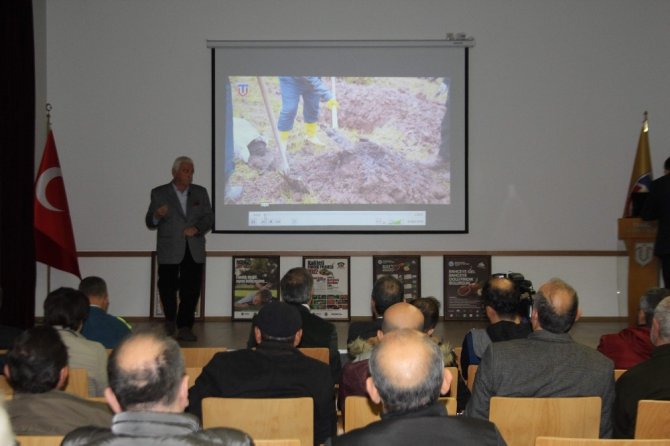Fındıkta Verim Ve Kaliteyi Artırma Projesi