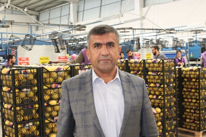 Türk Narenciyesi İlk Kez Uruguay Pazarına Giriyor