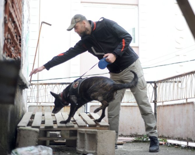 Giresun’da Metruk Binalara Narkotik Operasyonu