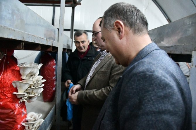 Besin Değeri Etle Yarışıyor Kilosu İse Sadece 15 Lira