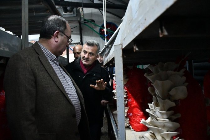 Besin Değeri Etle Yarışıyor Kilosu İse Sadece 15 Lira