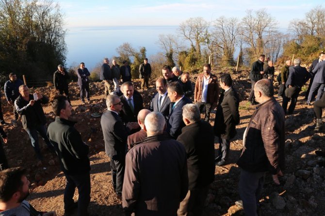 Sabun Ağacı Fidanları Artvin’de Toprakla Buluştu