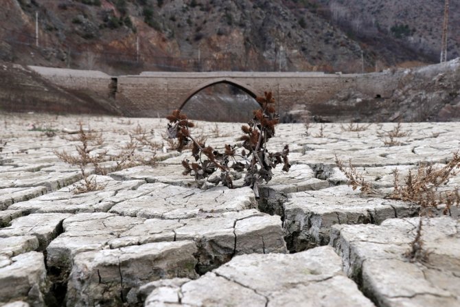 Torul Baraj Gölünde Su Seviyesi 40 Metre Çekildi