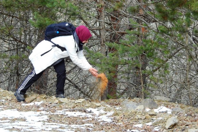 Gümüşhaneli Dağcılar Sarıkamış Şehitleri İçin Yürüdü
