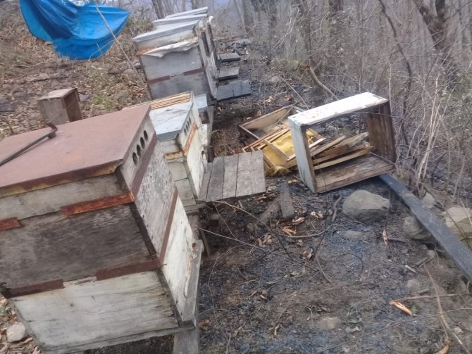 Yangının Bilançosu Gün Ağırınca Ortaya Çıktı