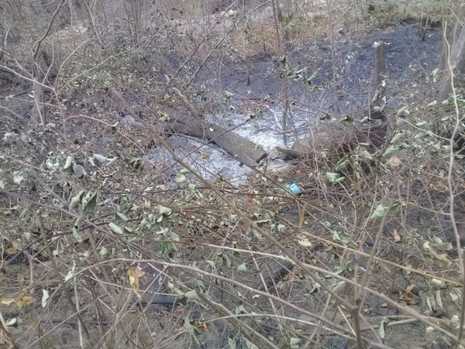 Yangının Bilançosu Gün Ağırınca Ortaya Çıktı