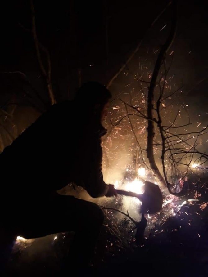 Artvin’de Orman Yangını