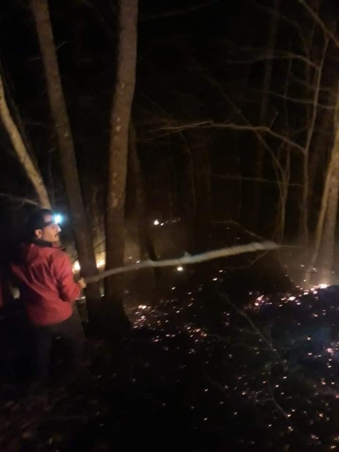 Artvin’de Orman Yangını