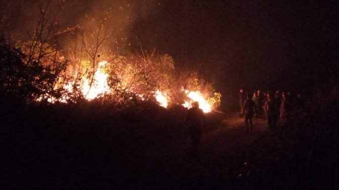 Trabzon’un Dernekpazarı İlçesi Akköse Mahallesinde De Yeni Örtü Yangını Başladı