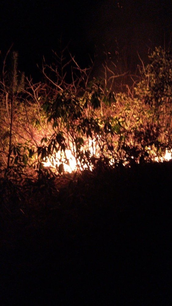 Trabzon’un Dernekpazarı İlçesi Akköse Mahallesinde De Yeni Örtü Yangını Başladı