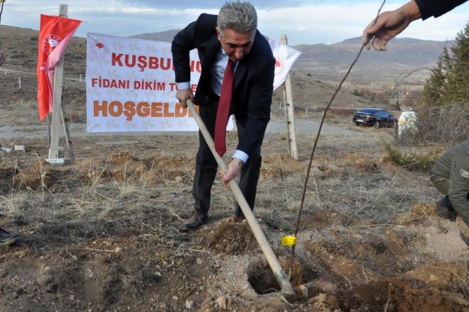 Gümüşhane’nin İlk Kapama Kuşburnu Bahçesi Kelkit’e Kuruldu