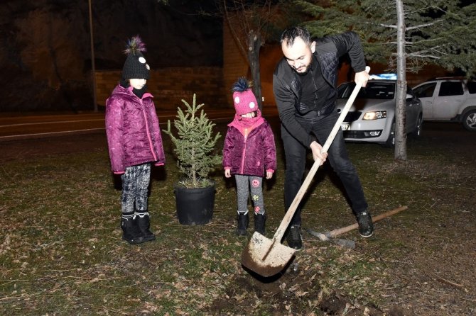 Yılbaşında Kesilen Ağaçlar İçin Yılın Son Dakikalarında Fidan Dikti