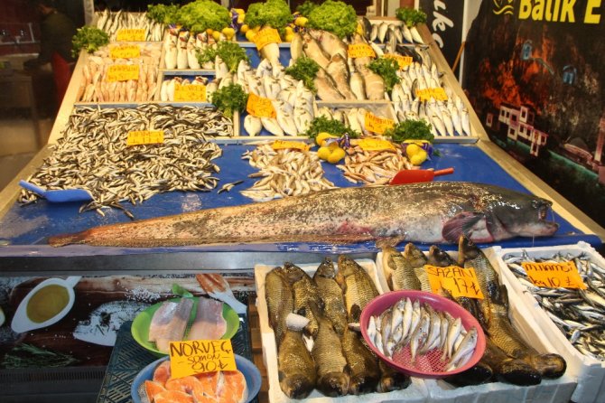 Dev Yayın Balığı İlgi Odağı Oldu