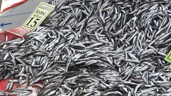 Hamsi Rusya Ve Gürcistan’a Kaçtı, Vatandaşlar Buzhane Balığı Tüketiyor