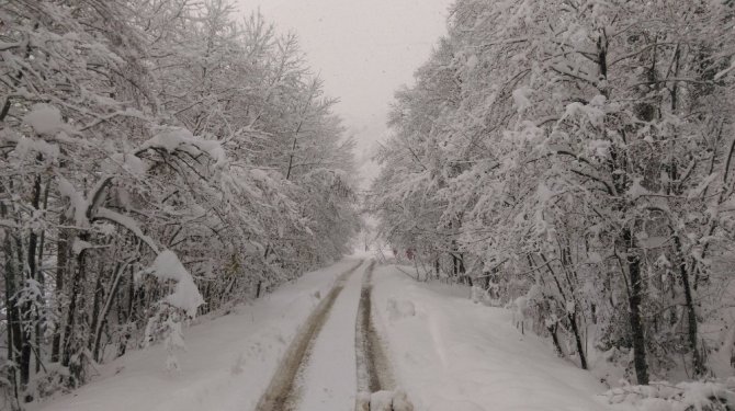 Giresun’da Karla Mücadele Çalışmaları Başladı